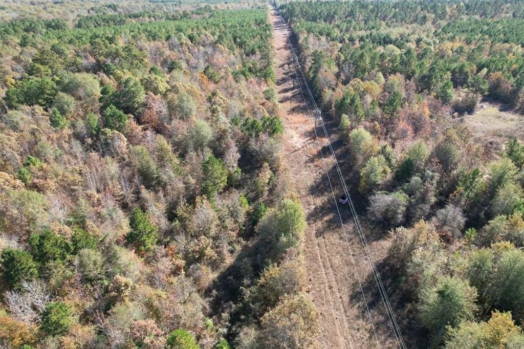 100 acres in Upshur County - photo 12