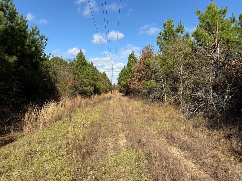 100 acres in Upshur County - photo 26