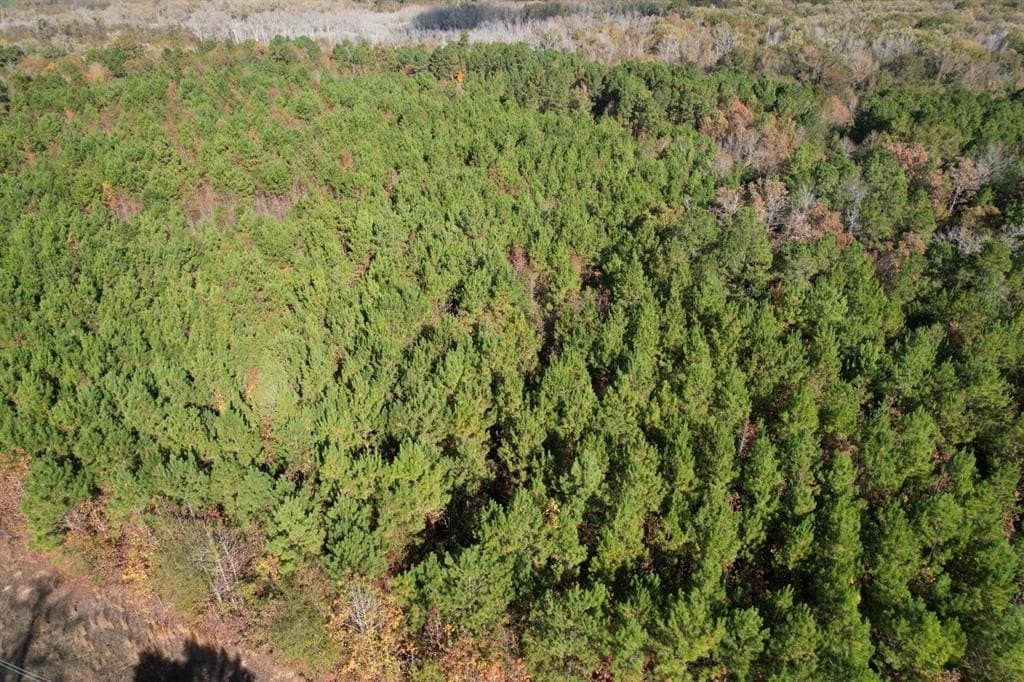 100 acres in Upshur County - photo 9
