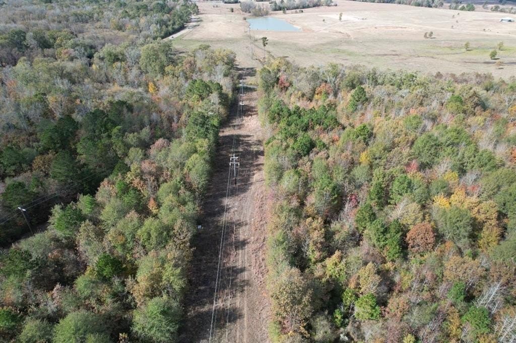 100 acres in Upshur County - photo 22