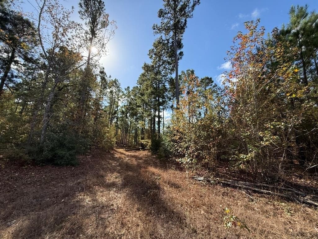 100 acres in Upshur County - photo 29