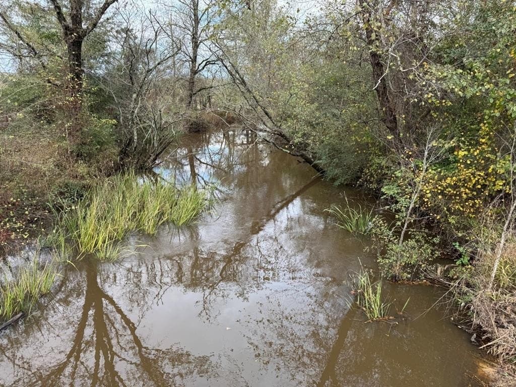 100 acres in Upshur County - photo 2