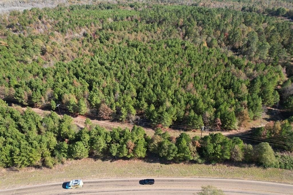100 acres in Upshur County - photo 16