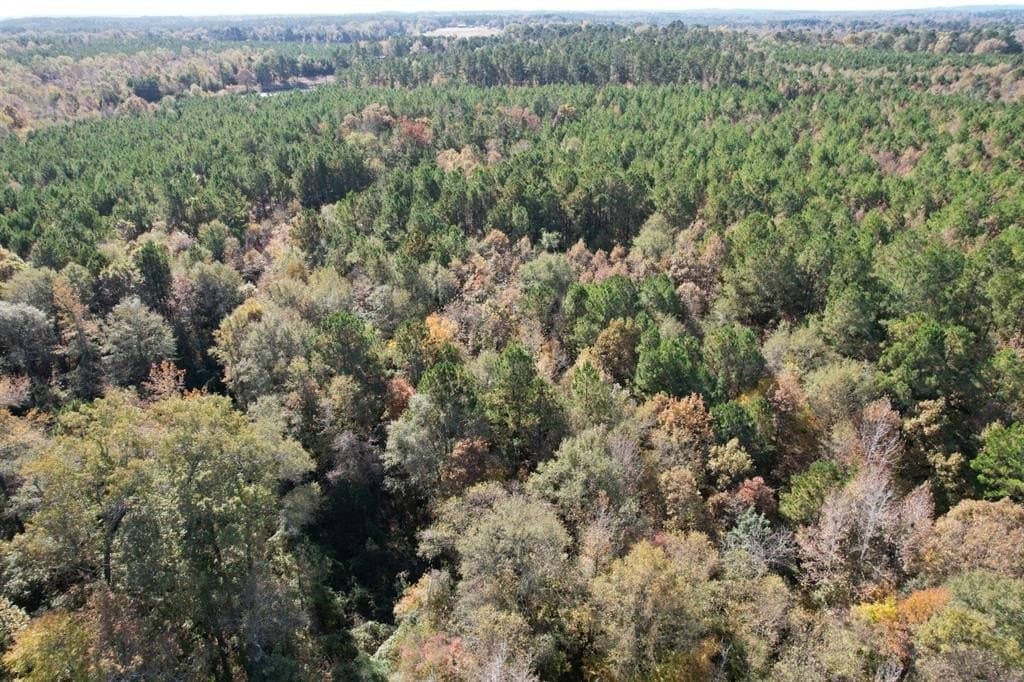 100 acres in Upshur County - photo 17