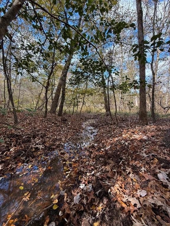 100 acres in Upshur County - photo 36