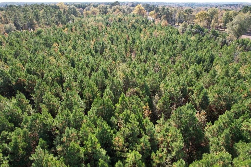 100 acres in Upshur County - photo 18