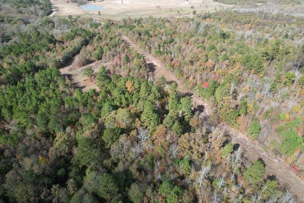 100 acres in Upshur County - photo 25
