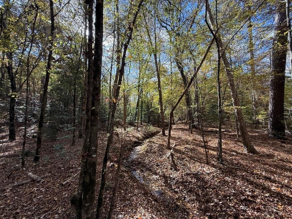 100 acres in Upshur County - photo 35