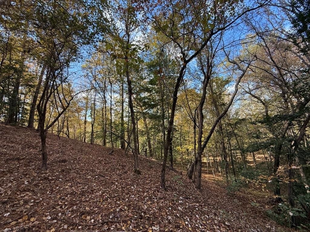 100 acres in Upshur County - photo 33