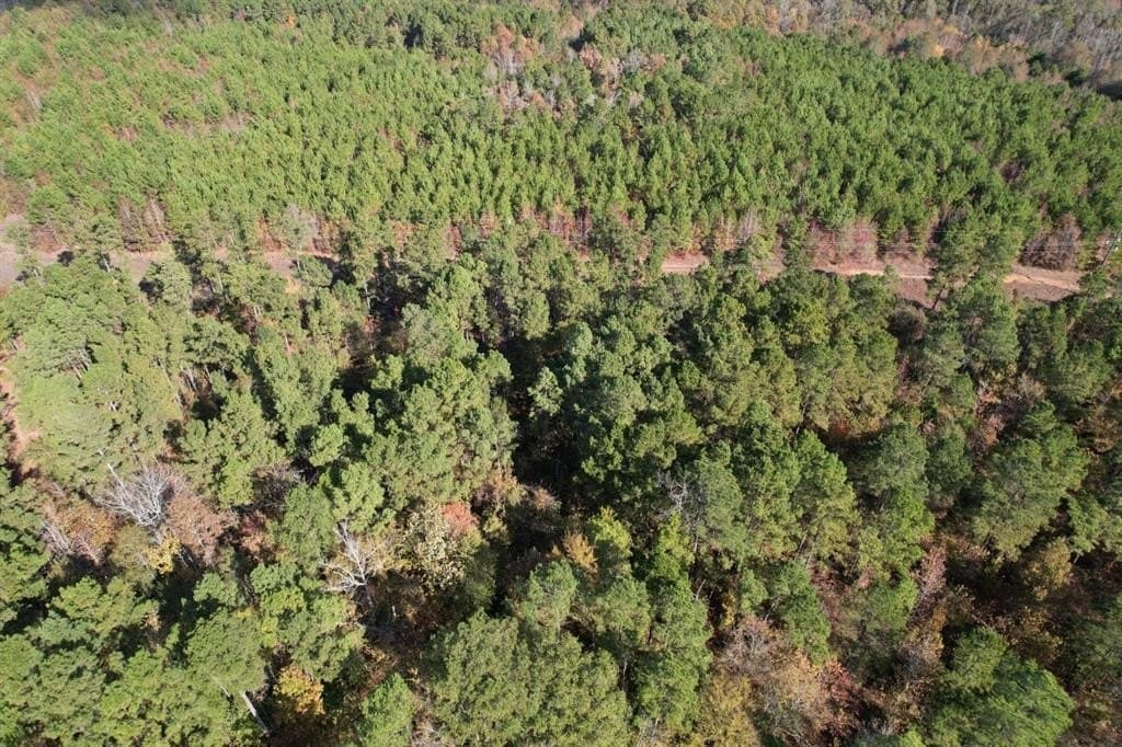 100 acres in Upshur County - photo 7