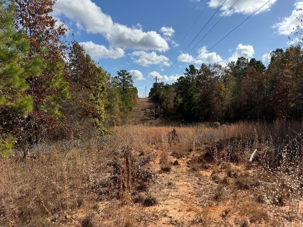 100 acres in Upshur County - photo 27
