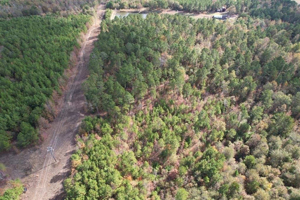 100 acres in Upshur County - photo 24
