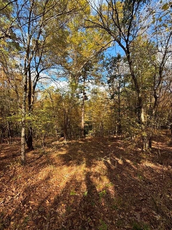 100 acres in Upshur County - photo 31