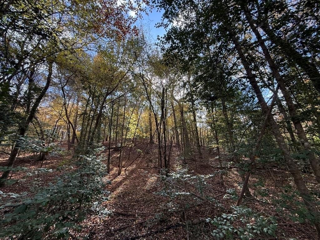100 acres in Upshur County - photo 39