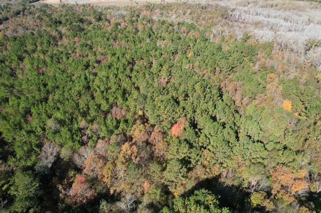 100 acres in Upshur County - photo 11