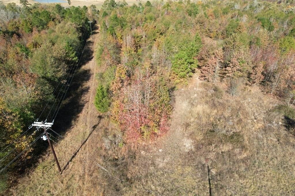 100 acres in Upshur County - photo 13