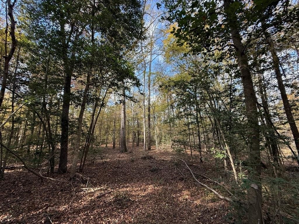 100 acres in Upshur County - photo 34