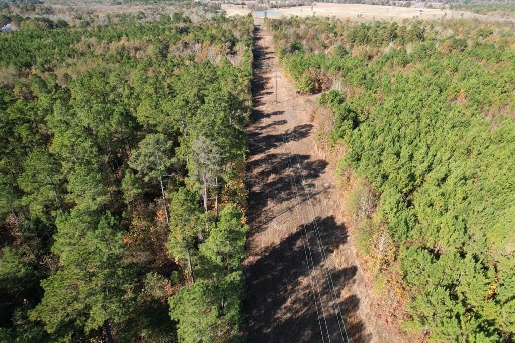 100 acres in Upshur County - photo 8