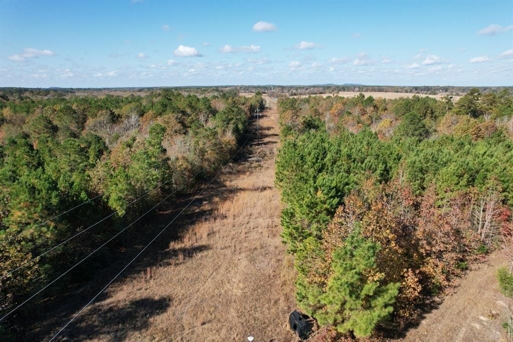 100 acres in Upshur County - photo 10