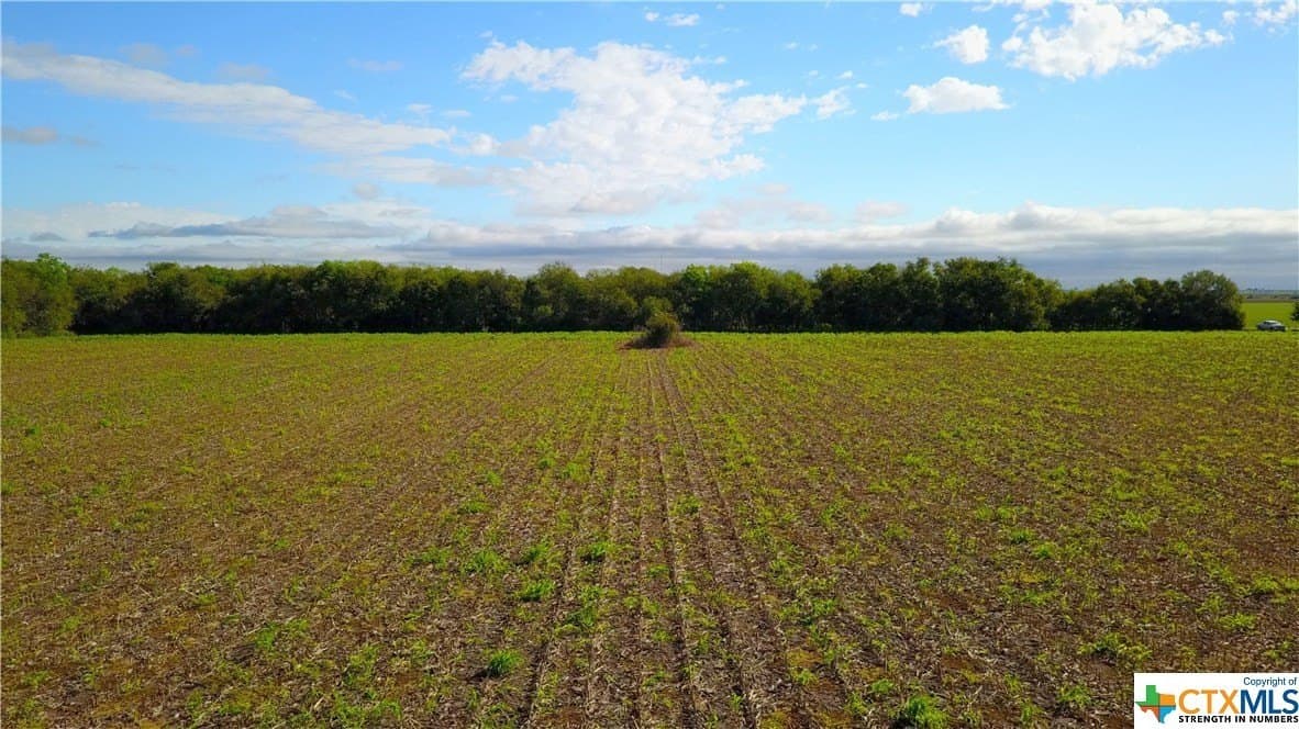 37.59 acres in Guadalupe County - photo 5
