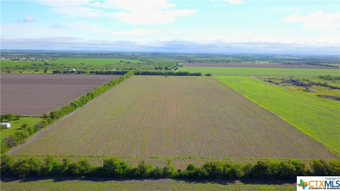 37.59 acres in Guadalupe County - photo 2