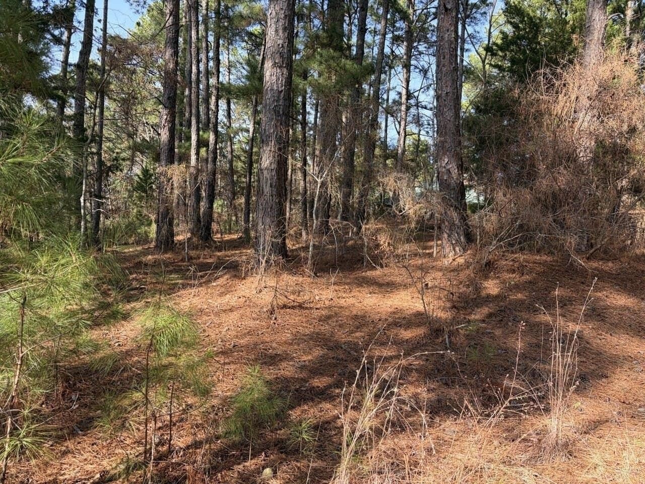 0.42 acres in Smith County - photo 4