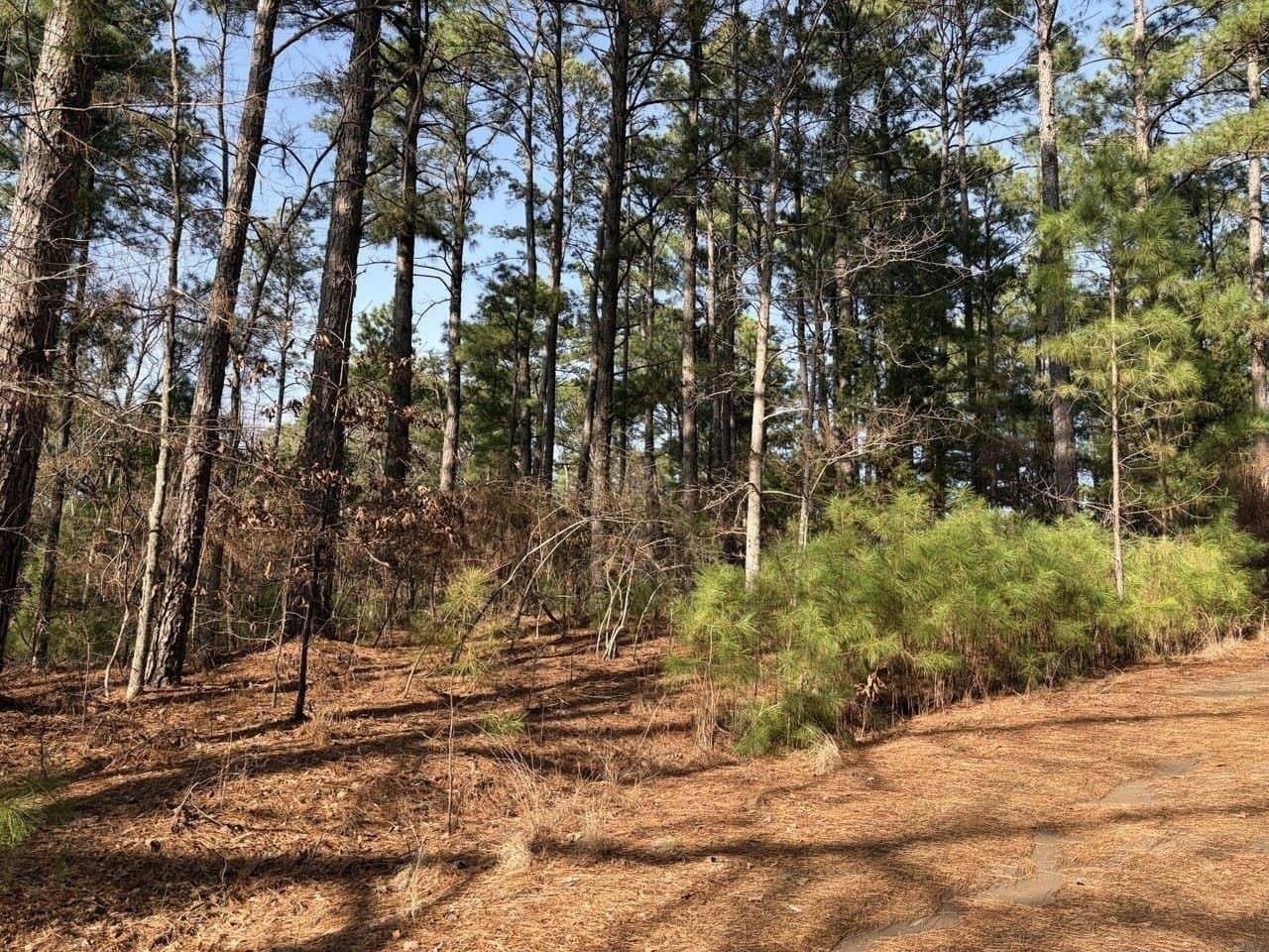 0.42 acres in Smith County - photo 5