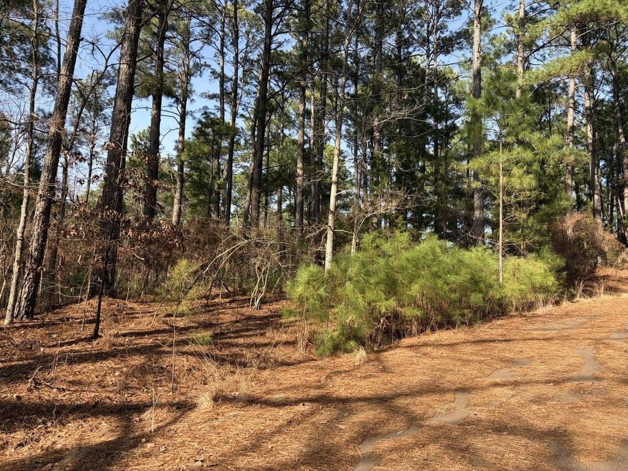 0.42 acres in Smith County - photo 3