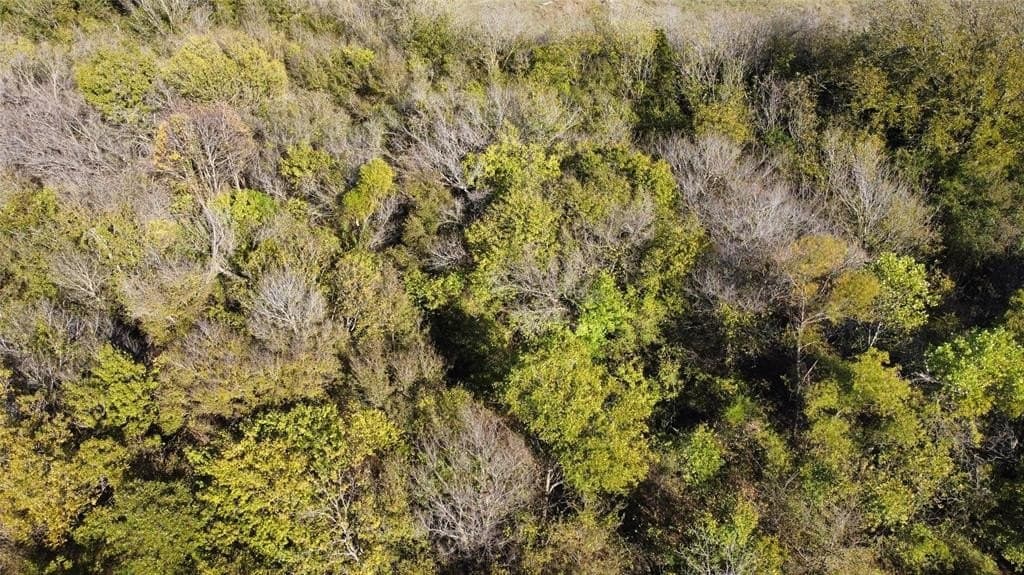 16 acres in Hill County - photo 10