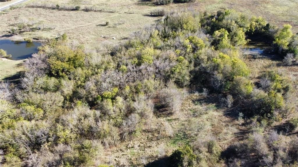 16 acres in Hill County - photo 8