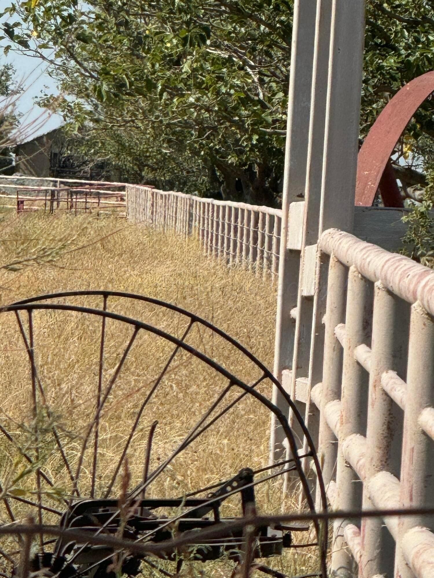 20.84 acres in Lubbock County - photo 5