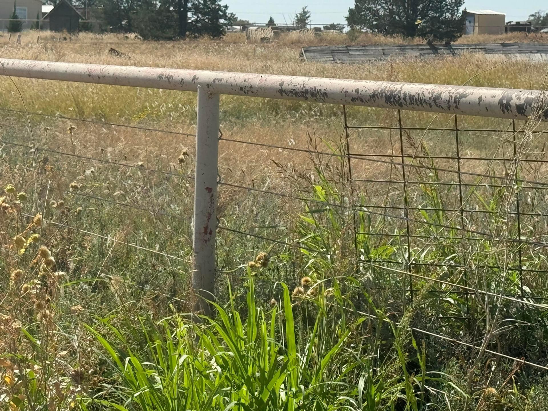 20.84 acres in Lubbock County - photo 6