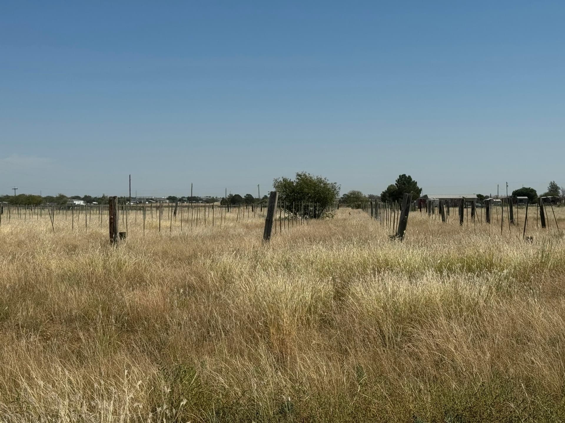 20.84 acres in Lubbock County - photo 10