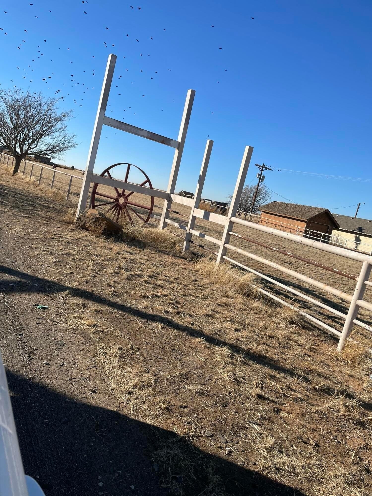 20.84 acres in Lubbock County - photo 8