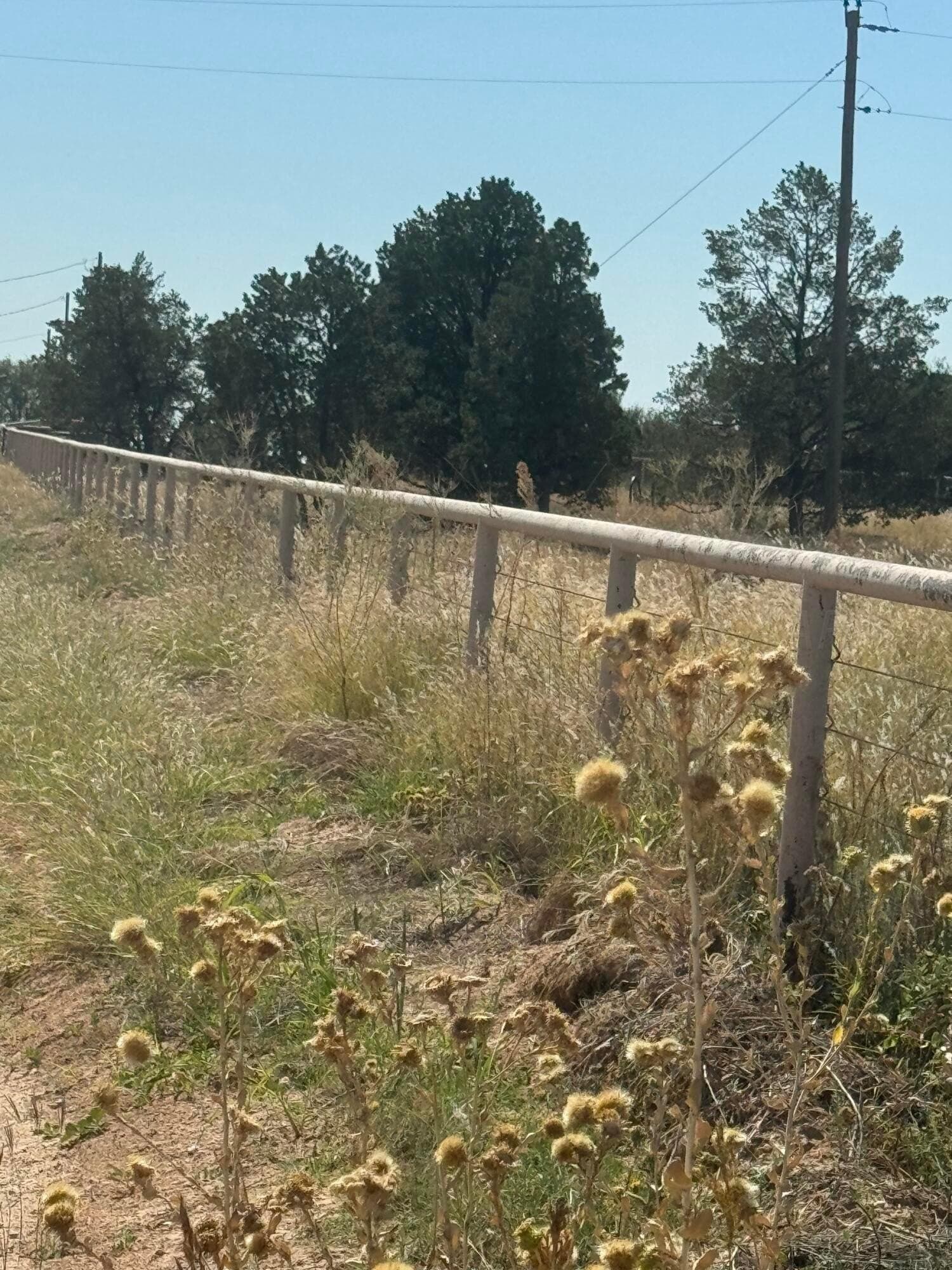 20.84 acres in Lubbock County - photo 12
