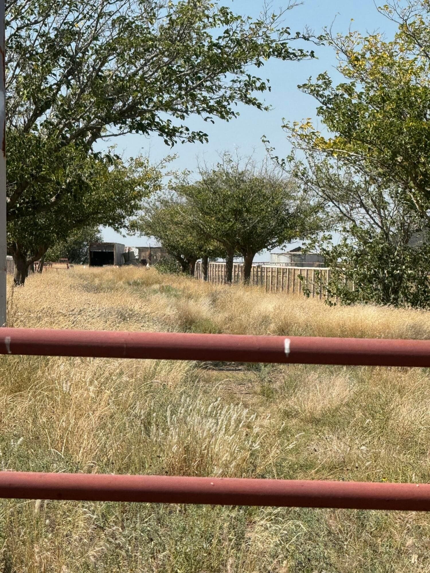 20.84 acres in Lubbock County - photo 3