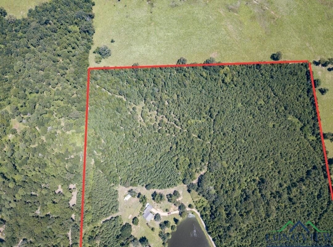 51.28 acres in Upshur County - photo 49