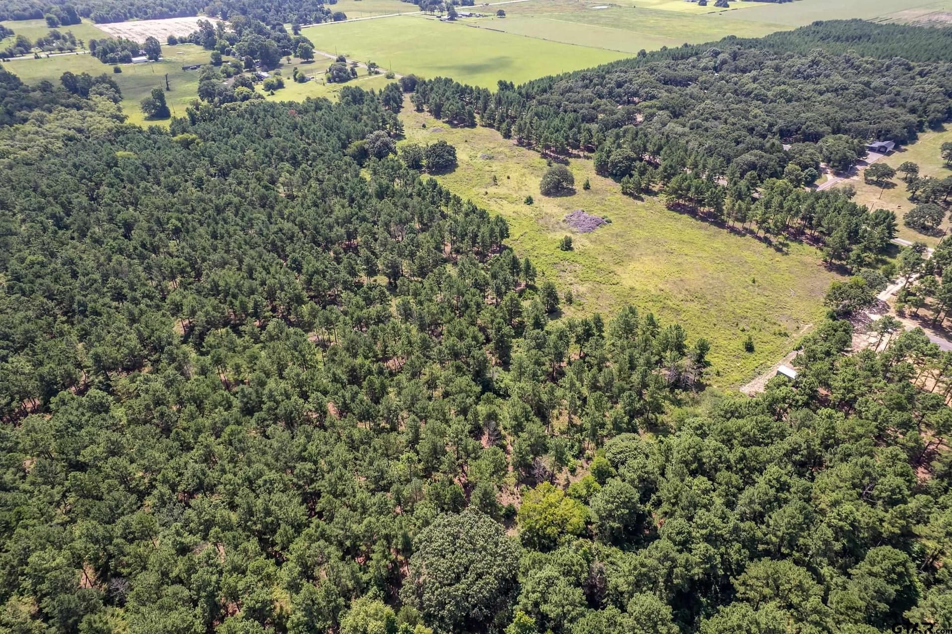 26.68 acres in Smith County - photo 4