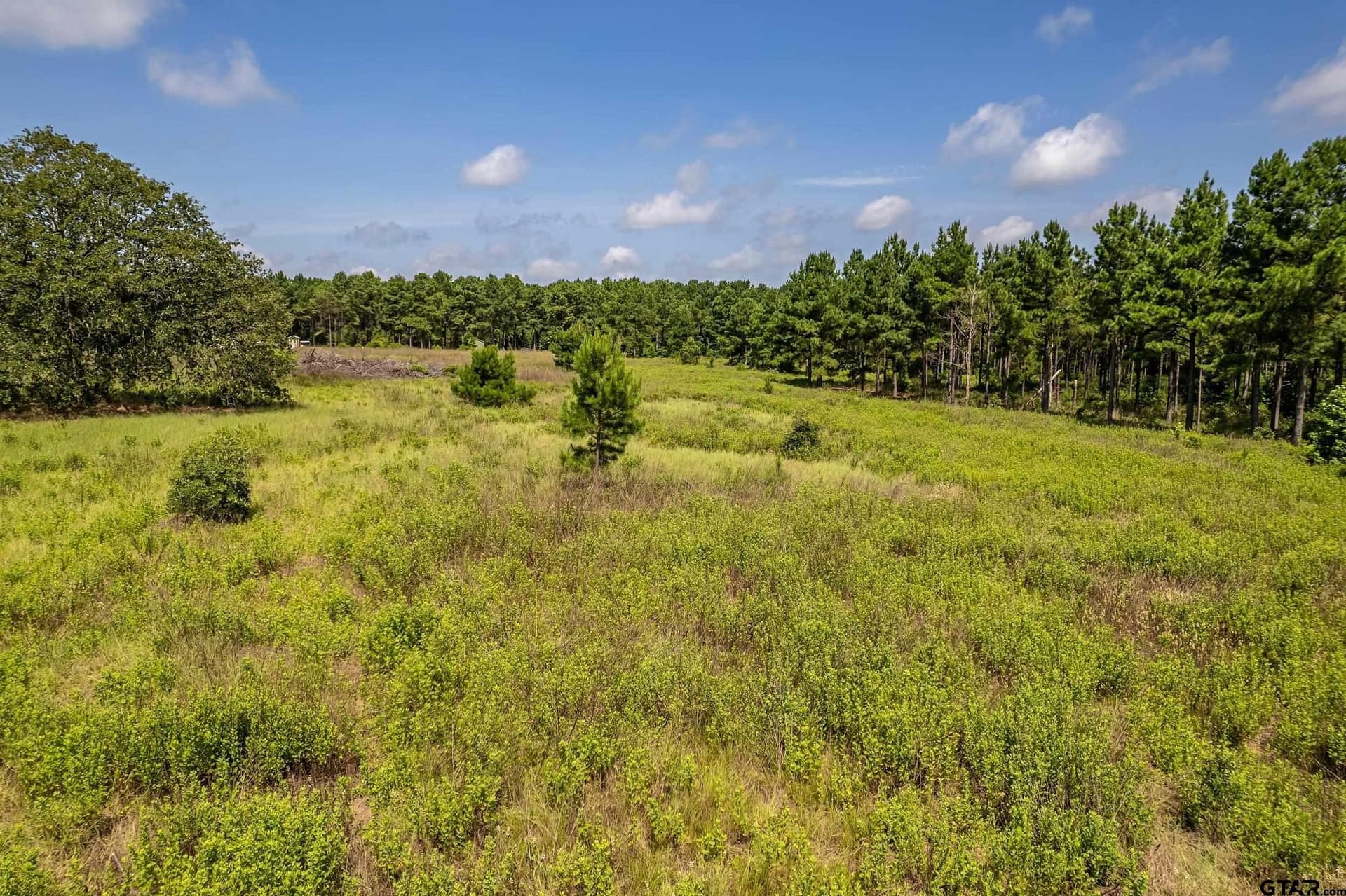 26.68 acres in Smith County - photo 12