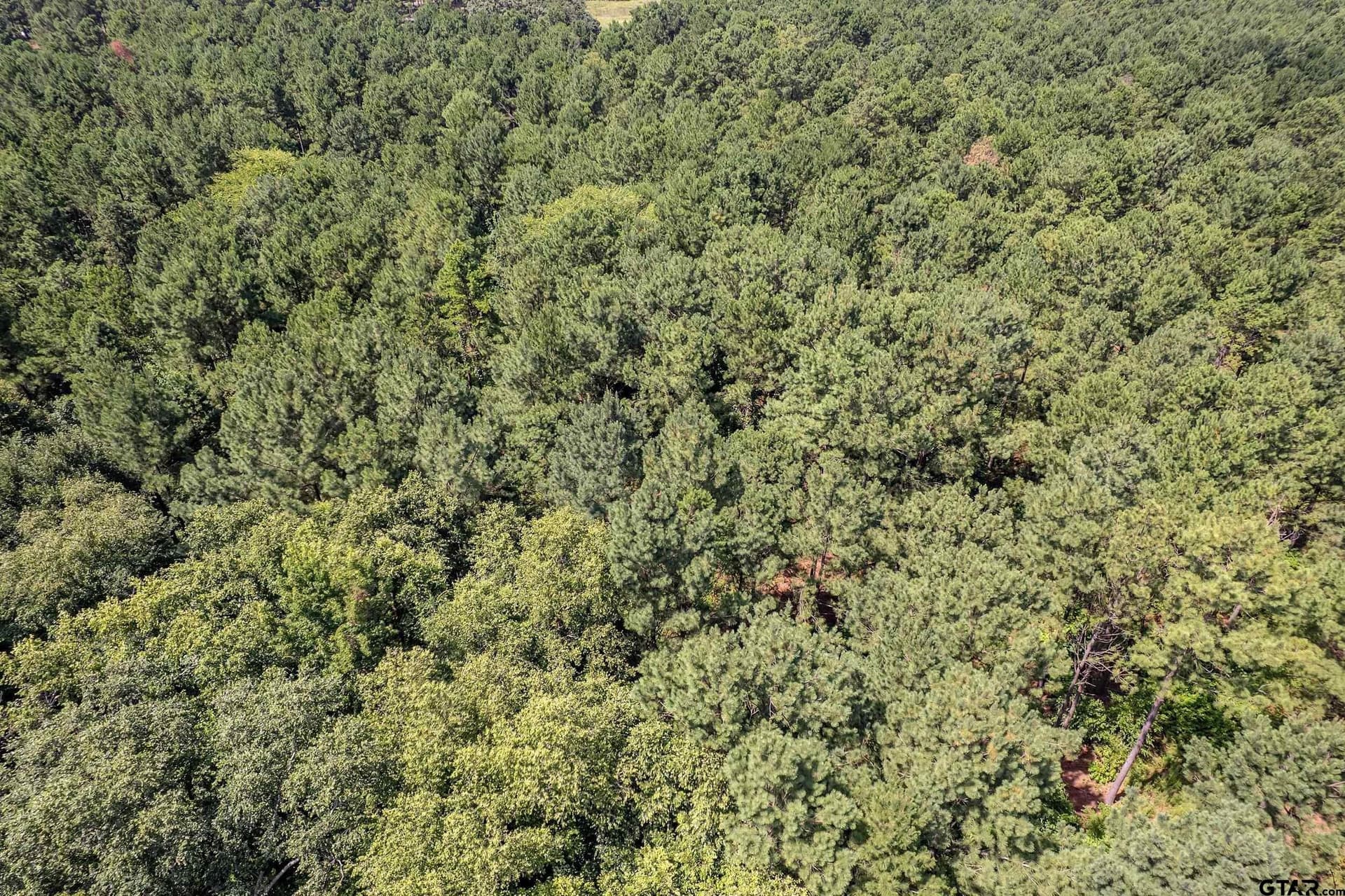 26.68 acres in Smith County - photo 6