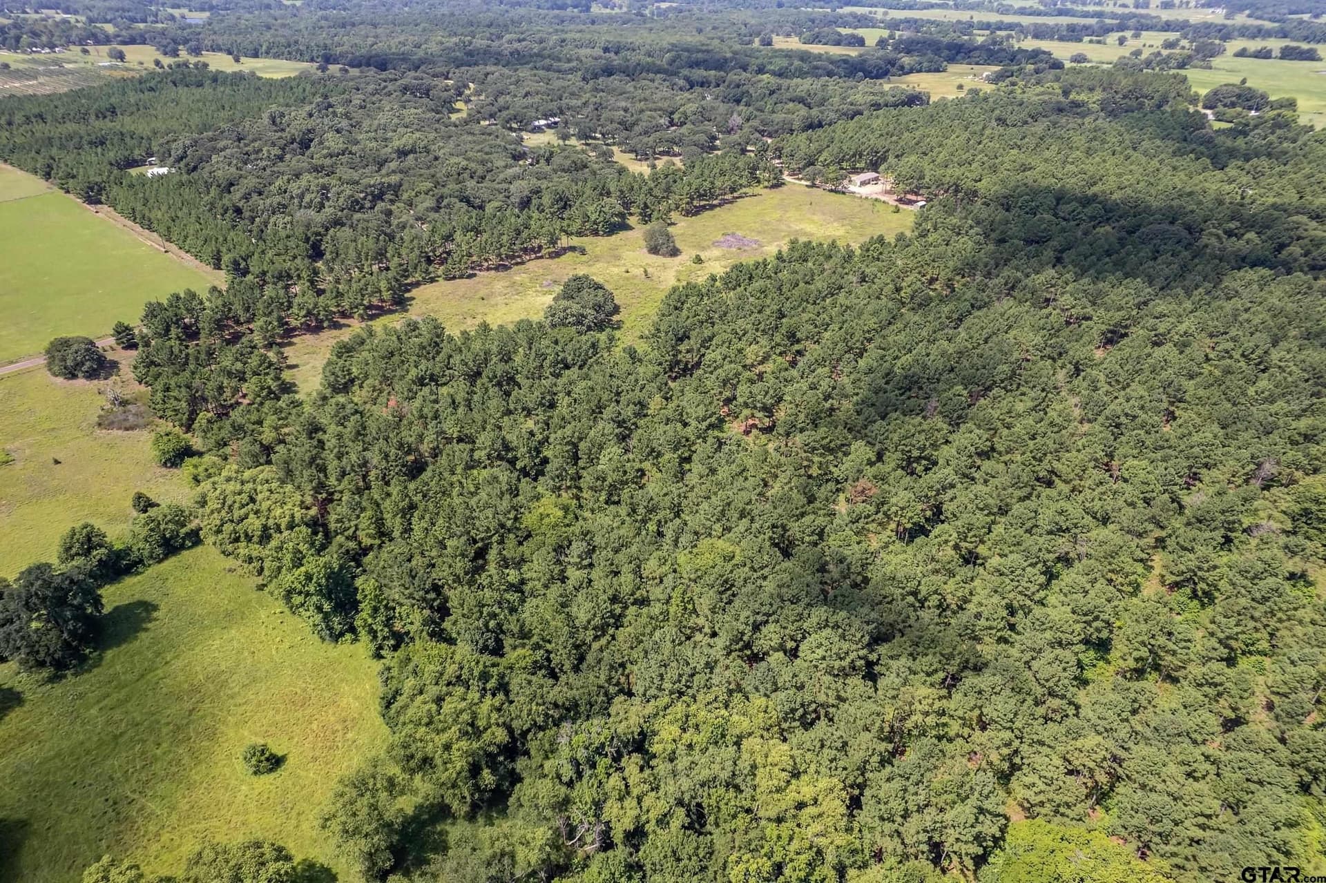 26.68 acres in Smith County - photo 5