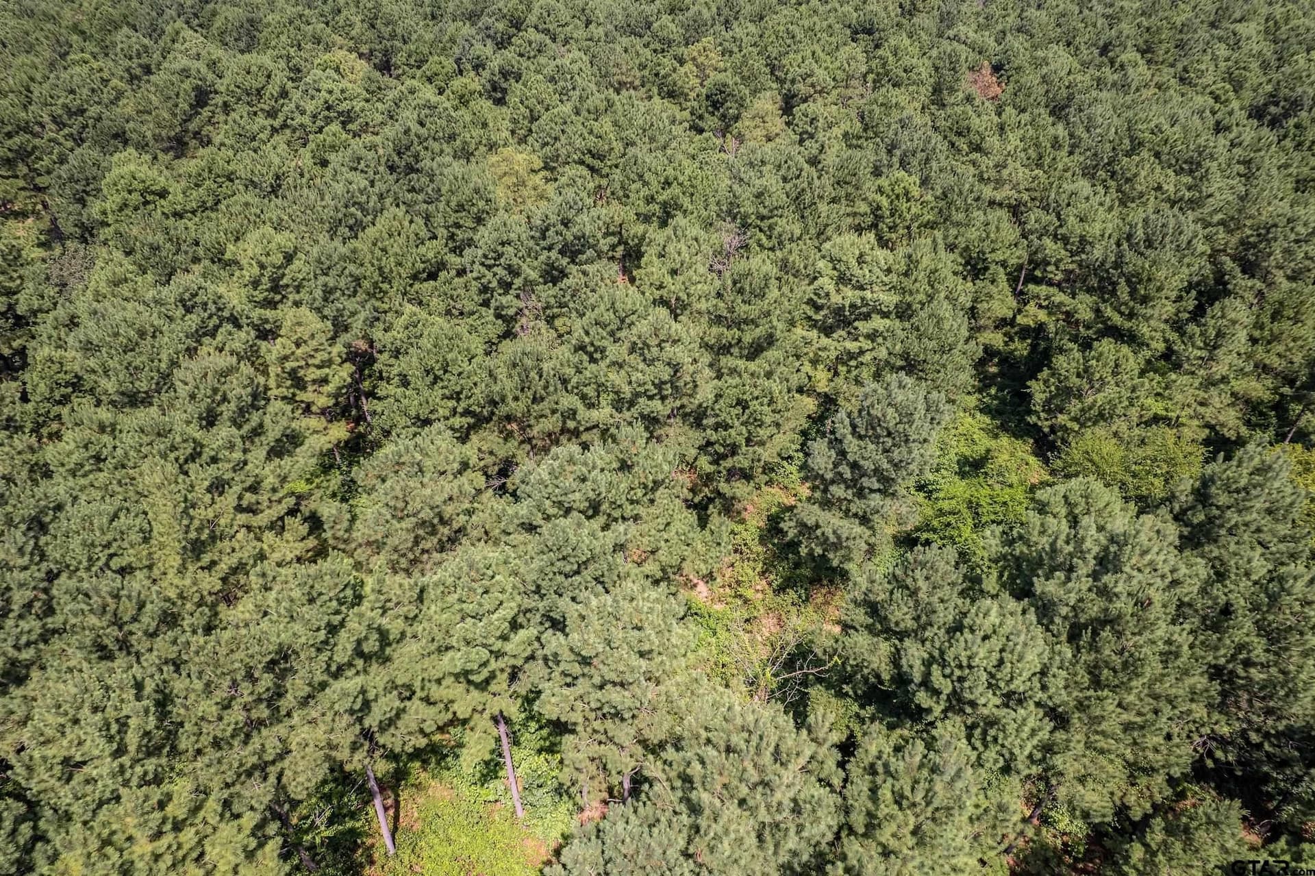 26.68 acres in Smith County - photo 8