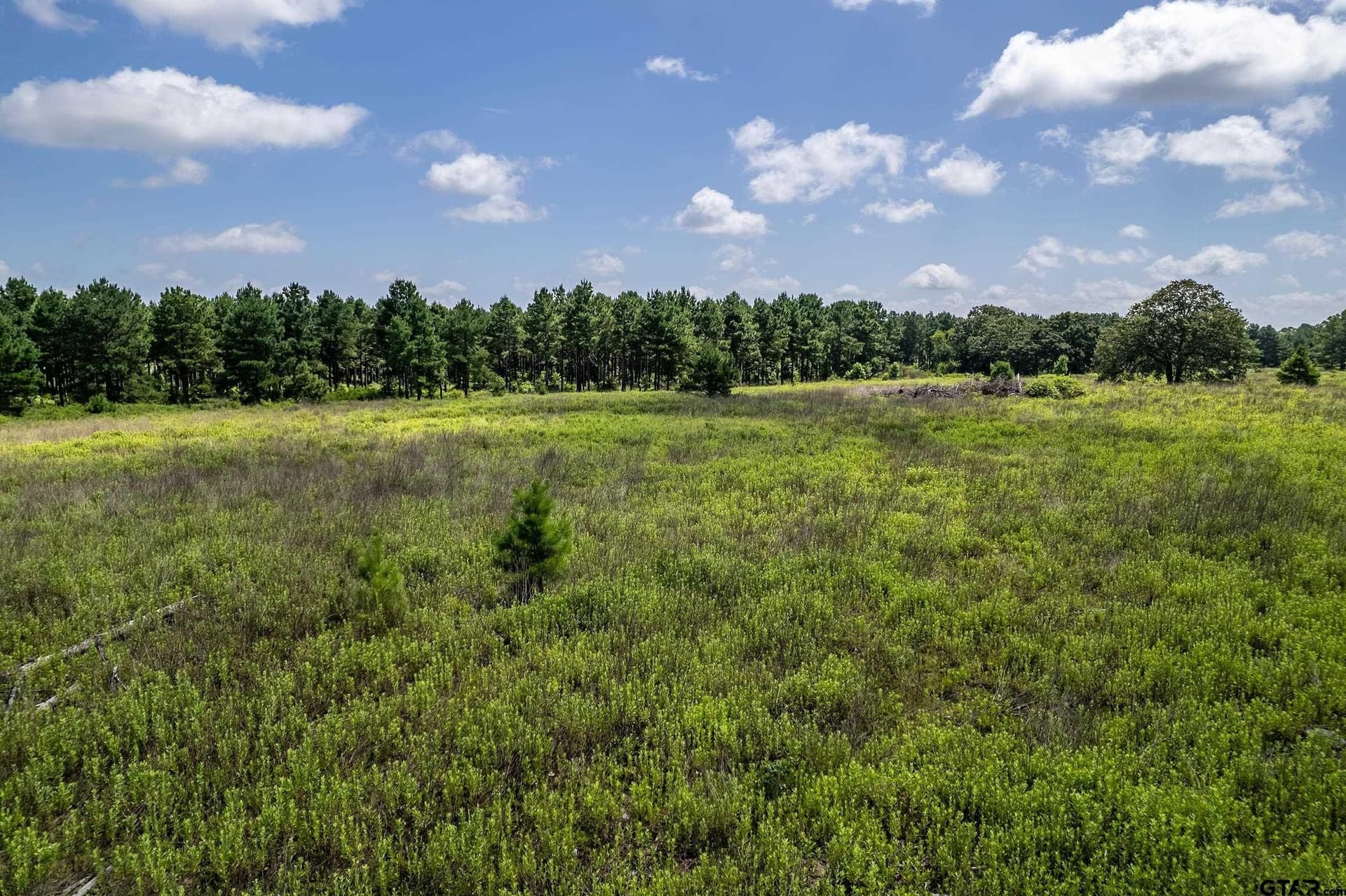 26.68 acres in Smith County - photo 13