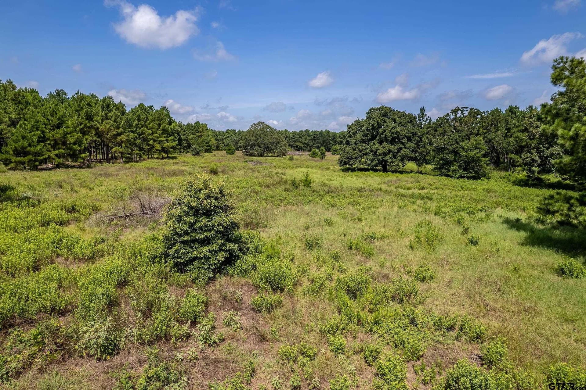 26.68 acres in Smith County - photo 10