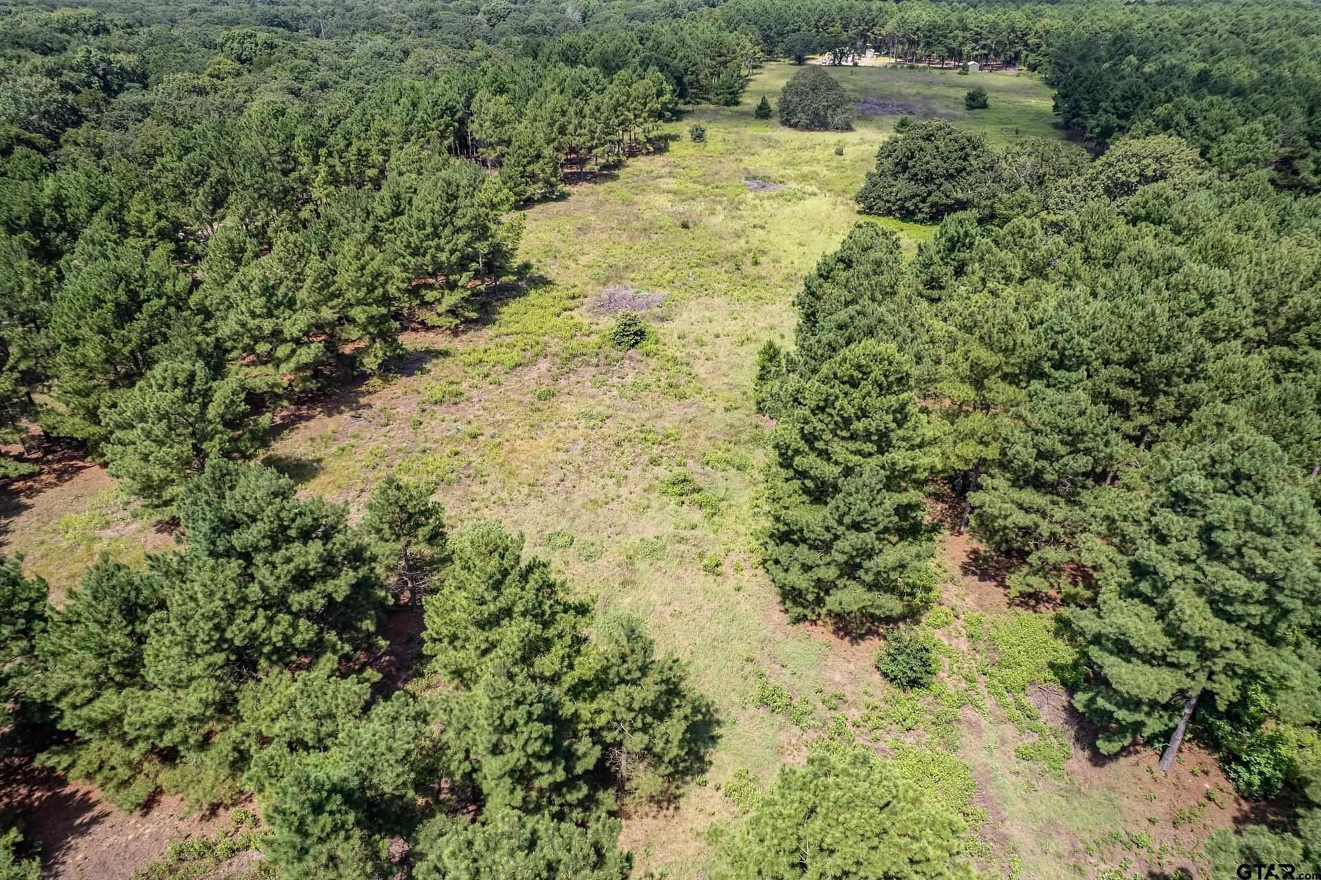 26.68 acres in Smith County - photo 9