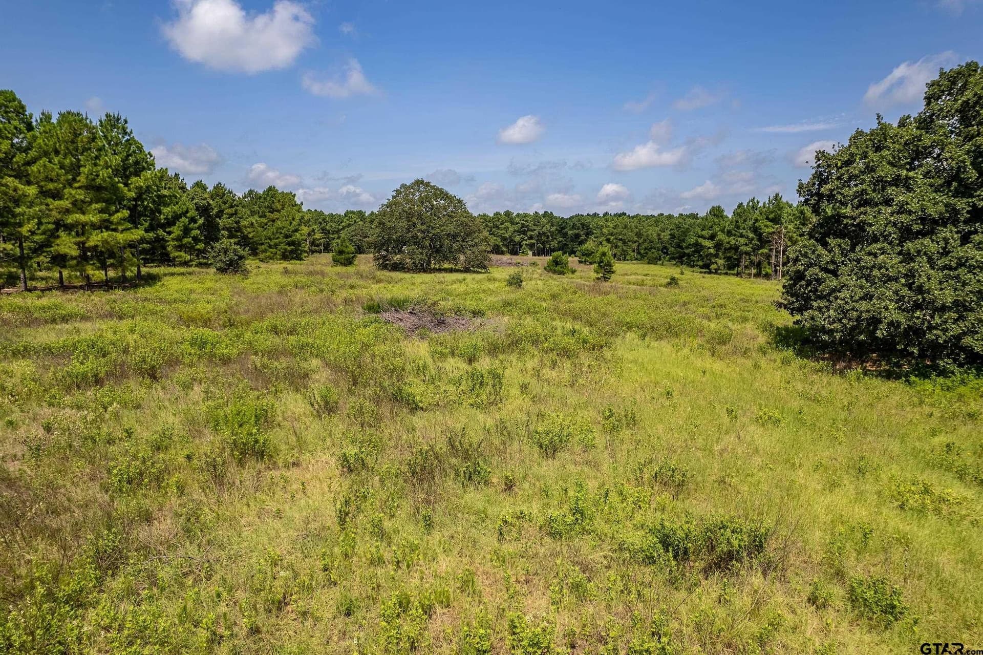 26.68 acres in Smith County - photo 11