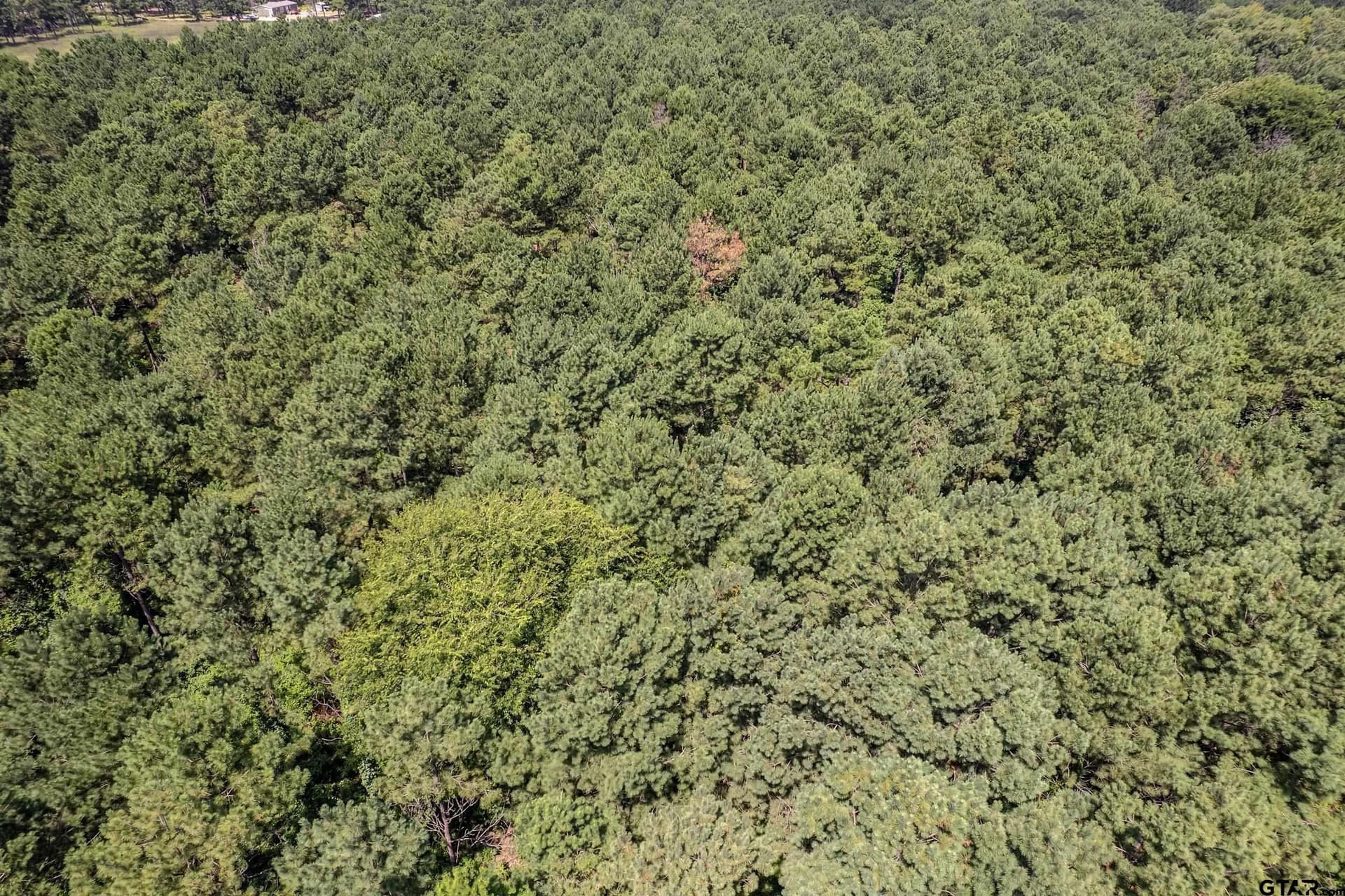 26.68 acres in Smith County - photo 7