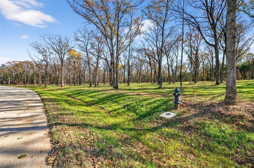 1.5 acres in Grayson County - photo 4