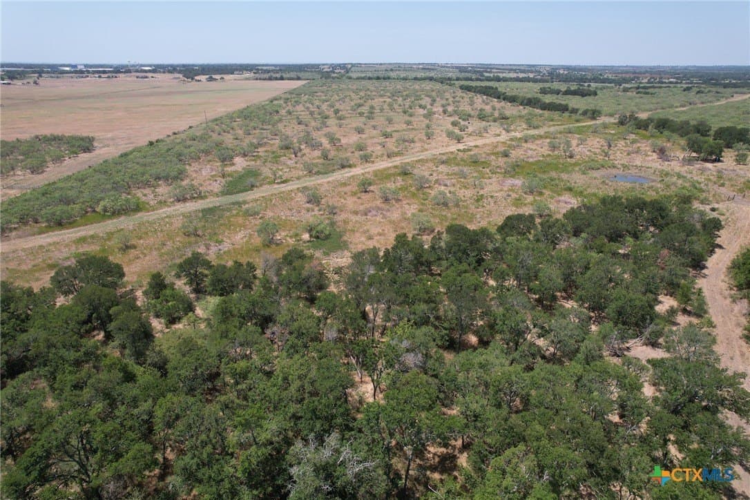 152.23 acres in Milam County - photo 6
