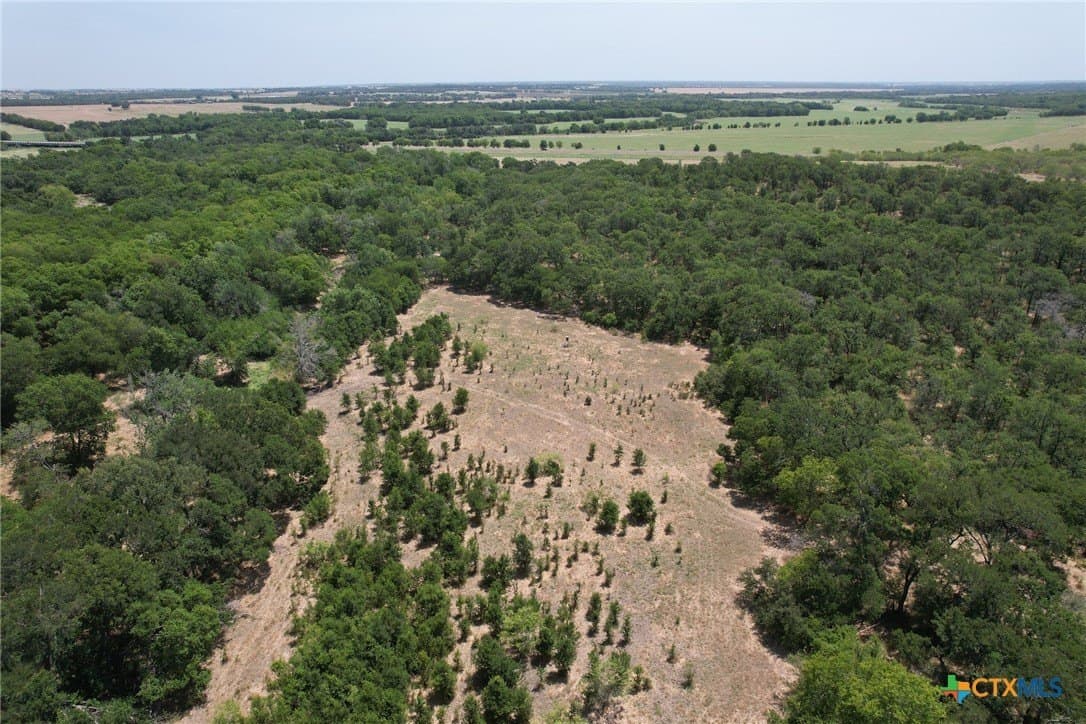 152.23 acres in Milam County - photo 10